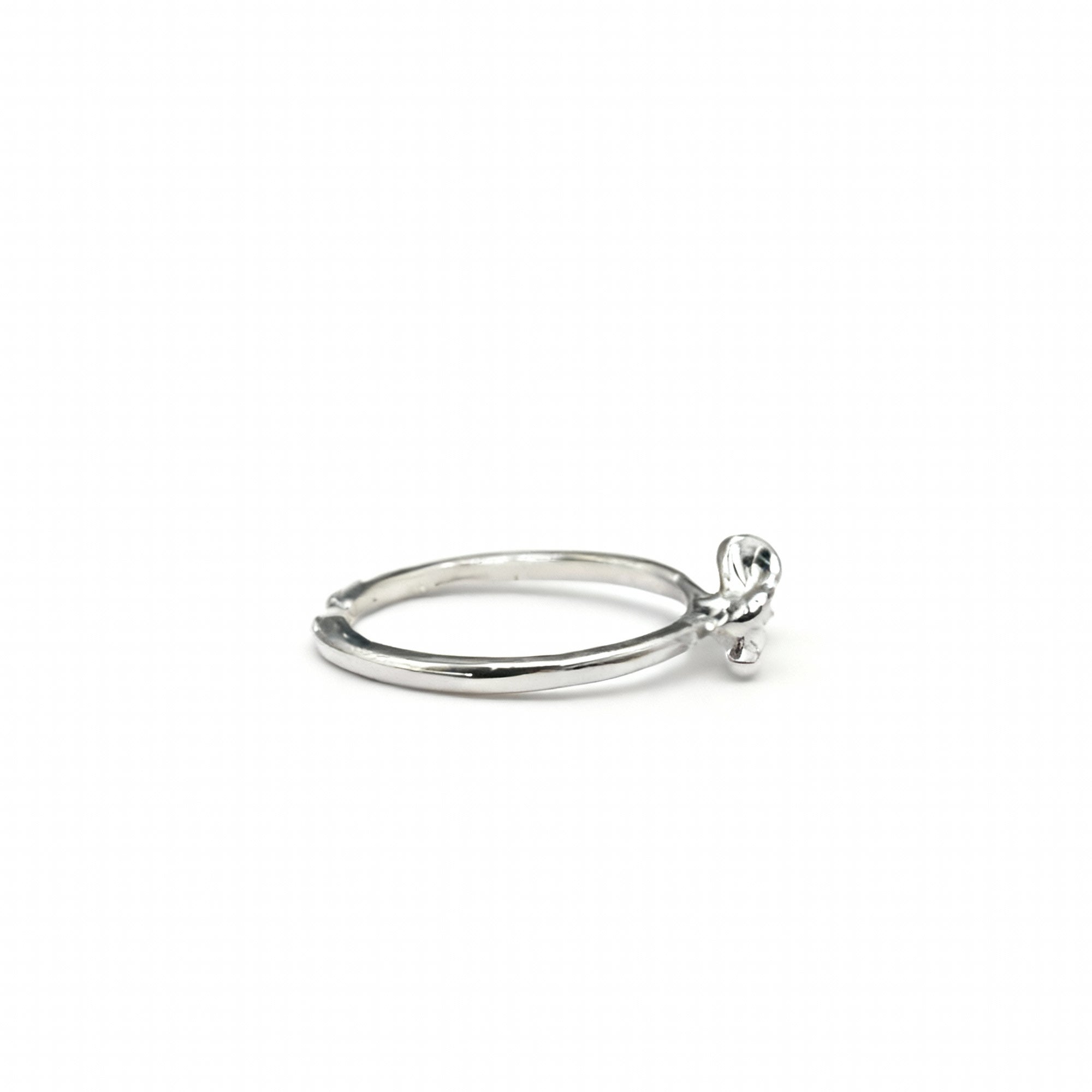 Boucle d’Argent