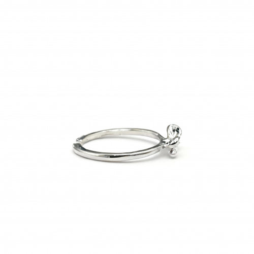 Boucle d’Argent