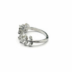 Lierre d´Amore