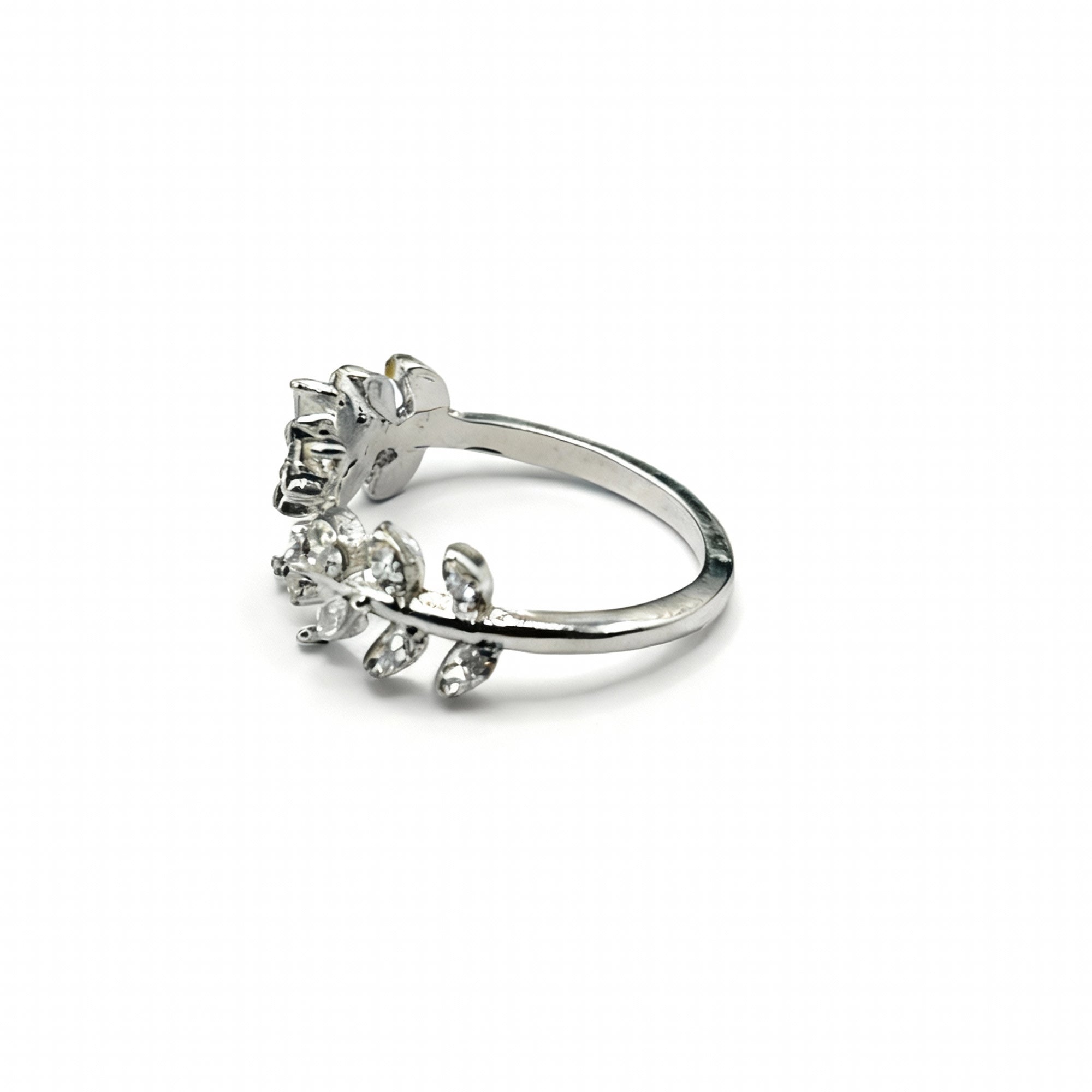 Lierre d´Amore